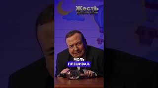 Медведев Рассказал О Путине В Детской Программе @Jestb-Dobroi-Voli #Путин #Медведев #Пародия