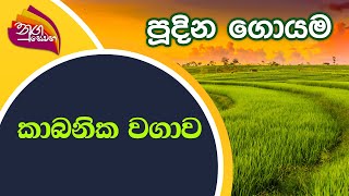 Nugasewana - Pudina Goyama | 2022-05-03 | Rupavahini