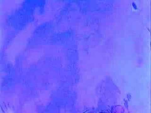 Archers Of Loaf - Might