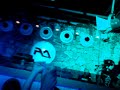 Dimitri from Paris playing I Want You back @ We Lo Dimitri from Paris playing I Want You back @ We Lo