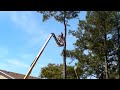 Worst Lumberjack Ever | Chainsaw Near Hit