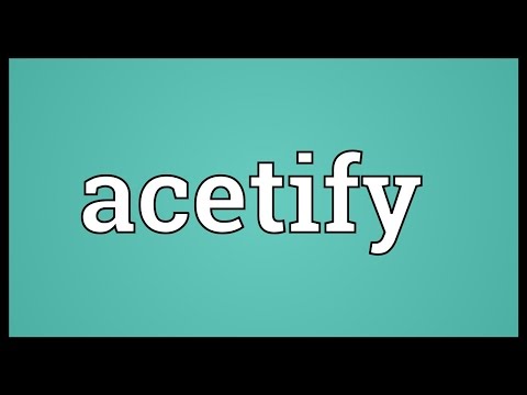 Header of acetify