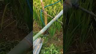 Traditional Field Alarm The Smart Way To Keep Wild Animals Away
