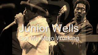 Watch Junior Wells Got My Mojo Working video