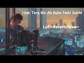Ham Tere Bin Ab Rahe Nahi Sakte  lofi +Reverb +Slowed  song