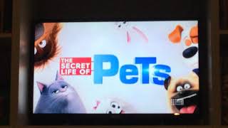 The Secret Life Of Pets Channel 9 Back Soon Screen