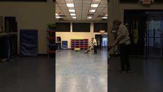 Roxy Day 6, Recalls And Placing