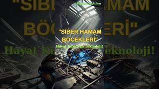 Siber Hamam Böcekleri Kurtarma Operasyonlarının Gizli Kahramanları