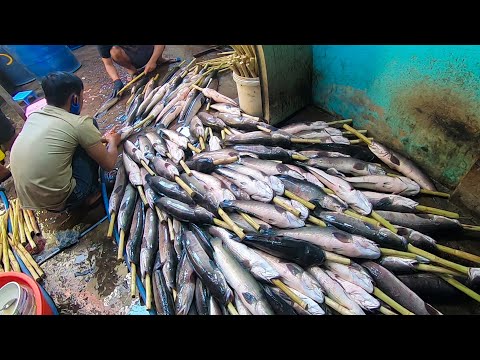 Cận cảnh quy trình làm Hàng ngàn con Cá lóc nướng mía chuẩn bị bán ngày Vía thần tài ở Sài Gòn