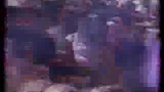 Watch Samples Finest Role video