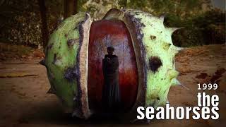 Watch Seahorses 1999 video