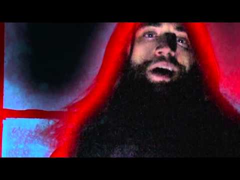 The Whoabear Video