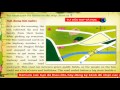 Tiếng Anh Lớp 9 - Unit 3 : A Trip To The Countryside