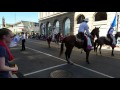 Horse trouble at the Springfield Ohio Memorial Parade
