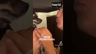 A Gives Owner A