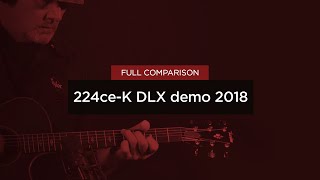 Taylor Guitars | 224ce-K DLX | Video Overview