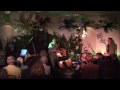 The Chuck Florence Quartet plays Chega de Saudade @ Jazzoula 2009