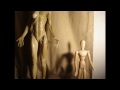 female anatomy