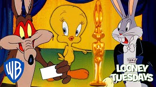 Looney Tuesdays | Looney Tunes Award Nominations Looney Tunes | @wbkids