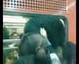 Metro San Lazaro