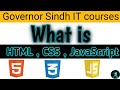 What is Html, JavaScript,  CSS (part 1) #governorsindh #ai #viral #trending #aiplanet #viralvideo