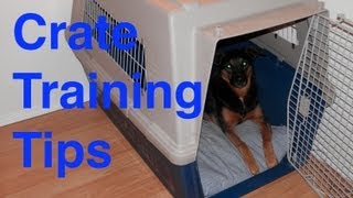 how to house a without a crate guide how to house an without a crate answers exclusivedetent how to house a without a crate guide how to house an without a crate answers exclusivedetent