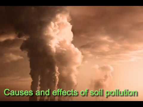 soil pollution causes and effects essay soil pollution causes and effects essay