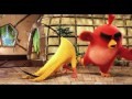 Angry Birds Movie Official Teaser Sony Angry Birds Movie Official Teaser Sony