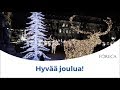 Hyvää ja rauhaisaa joulua!