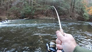 Creek Fishing For Big Trout Rainbow & Tiger Trout