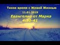 Тихое время с Живой Жизнью: от Марка 4:30–41 (11012019)