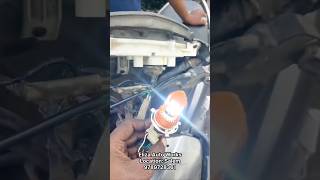 Activa White Bulb Setup Bright Look In Minutes