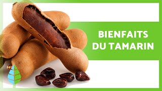 Propriétés Et Bienfaits Du Tamarin Utilisations, Consommations Et Contre-Indications