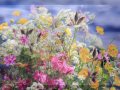 Beyond The Sky - Fernando Ortega.wmv