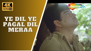 Ye Dil Ye Pagal Dil Meraa | Maati Maange Khoon (1984) | Shatrughan Sinha | R D Burman@4Khindisongs18