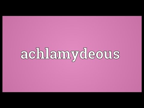 Header of achlamydeous