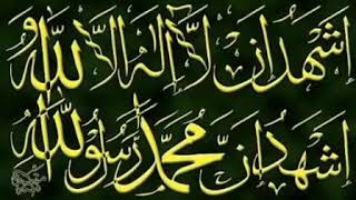 Naat e Sharif !!! ||Mein apne Dil ke andar Aayatein Quraan laaya hu ll