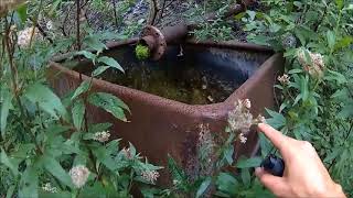 utajená lokalita 5 🐜 urbex