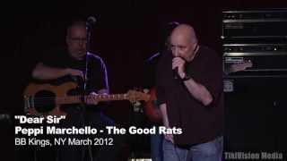 Watch Good Rats Dear Sir video