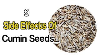 9 Side Effects Of Cumin Seeds 9 Side Effects Of Cumin Seeds