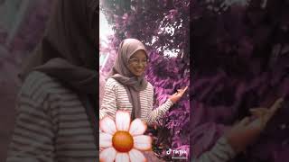 Awek Tudung