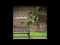 view Your Song