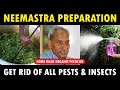 NEEMASTRA Preparation | Subhash Palekar | How to make ORGANIC Pesticide / Insecticide at Home