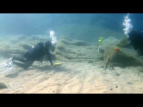 Areamare Diving Center HD 720p
