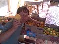 South Florida Mango Farm Grows the Best Tasting Mangoes I have Ever Tasted!