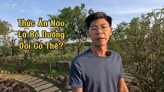 Ăn Thức Ăn Nào Để Bổ Dưỡng Cho Cơ Thể?
