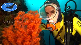 0521Female Scuba Diver With Vintage Dive Mask Observing Orange Soft Coral Underwater