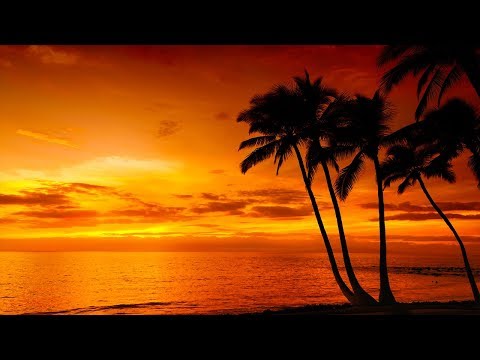 🔴 Relaxing Deep Sleep Music 24/7, Sleep Meditation, Calming Music, Relaxing Music, Sleep Music