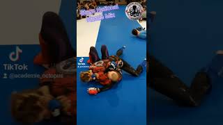 Retour Sur Le Stage National Karaté Mix À Linj