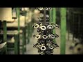 How To Fit A Campagnolo Ultra Torque Chainset And Bottom Bracket - GCN's Maintenance Mondays